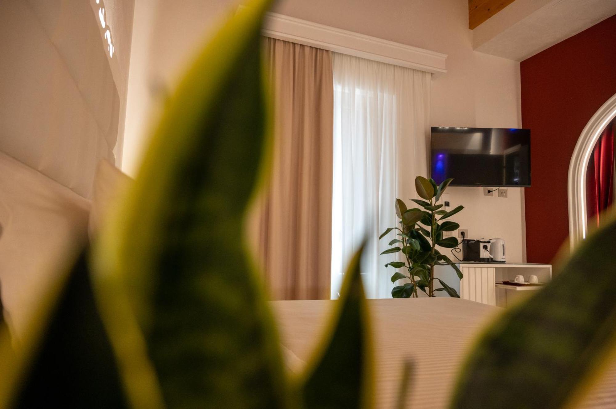 La Divina - Free Parking - Bed and Breakfast Tropea Eksteriør billede