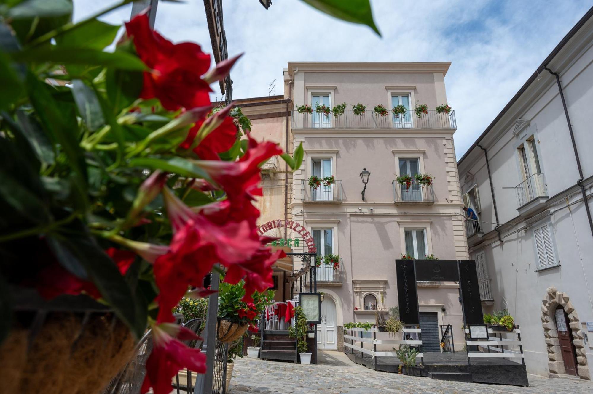 La Divina - Free Parking - Bed and Breakfast Tropea Eksteriør billede