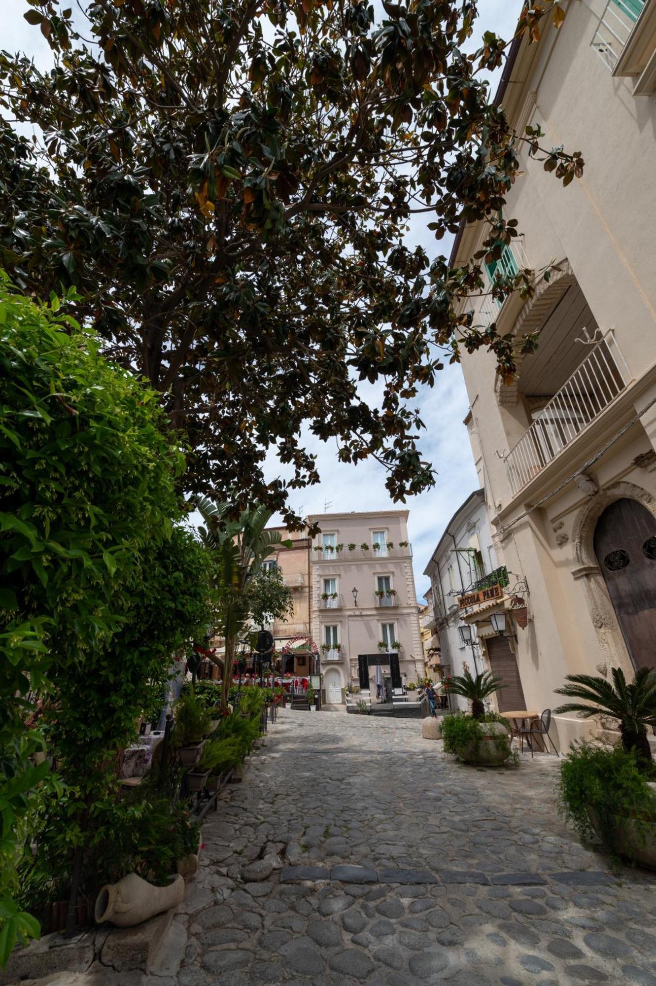 La Divina - Free Parking - Bed and Breakfast Tropea Eksteriør billede